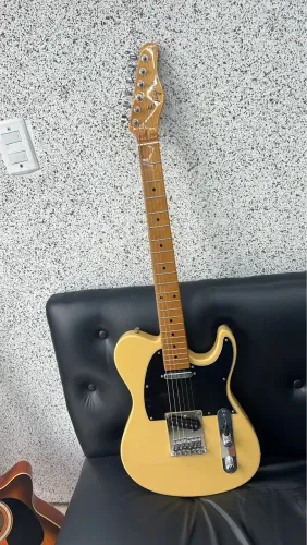 GUITARRA TAGIMA TW55