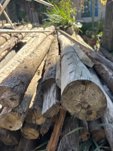 Escoras para construção