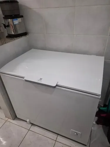 Freezer Inverter Electrolux 315L