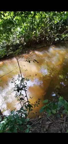 Terreno com Rio e Mina d'água | São Lourenço da Serra.