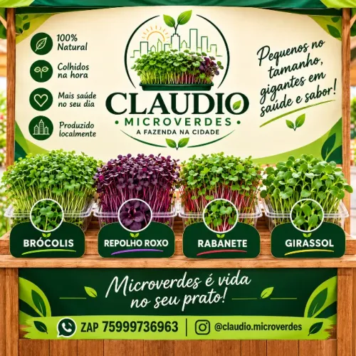 Microverdes em Feira de Santana