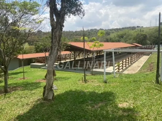 sítio - Área Rural de Cosmópolis - Cosmópolis
