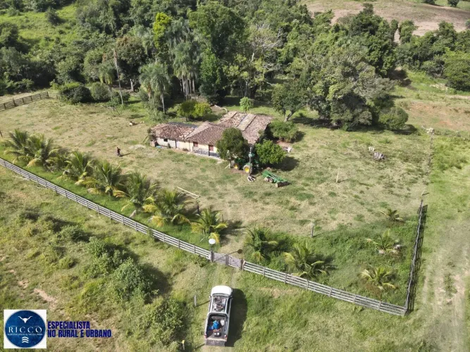 CHÁCARA À VENDA NA CIDADE DE GOIÁS | 6 ALQUEIRES | CONFINAMENTO