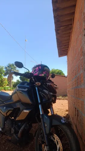 Fz15 2025