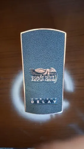 Pedal deley ambient Ernieball