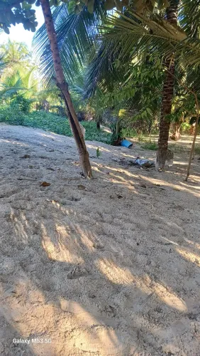 Vendo um terreno na praia