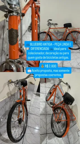 ? BLUEBIRD ANTIGA - PEÇA LINDA E DIFERENCIADA ?