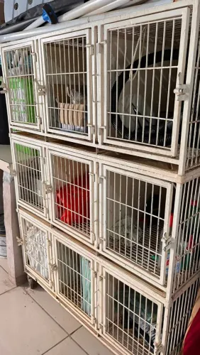 Gaiola para petshop.