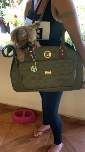 Bolsas lindas de luxo,primeira linha para carregar seus pets,temos de varios modelos.