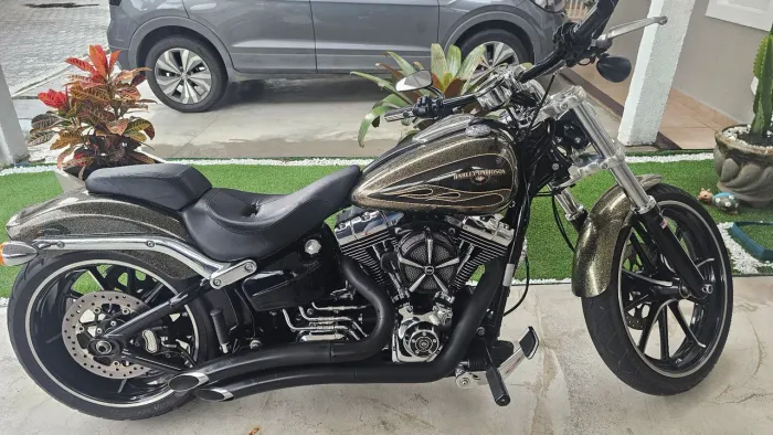 Harley davidson/breakout 