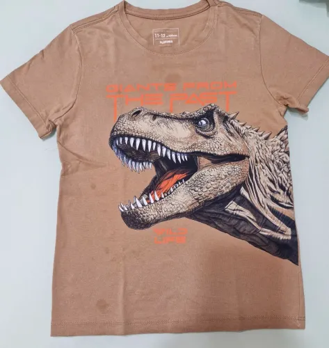 Família mudando - Tudo ate $30 - Camiseta T-Rex