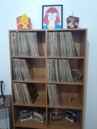 LOTE VINIL + ESTANTE