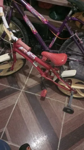 Bicicleta  250