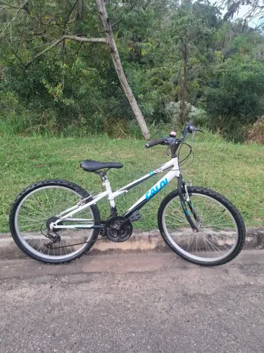 CALOI ARO 24
