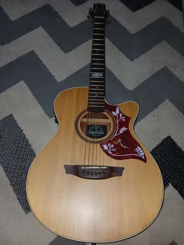 Violão Eletroacústico Strinberg Black Series Aço (SF10C NS) - Ótimo Estado