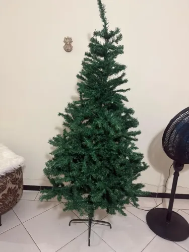Árvore de Natal sem enfeites