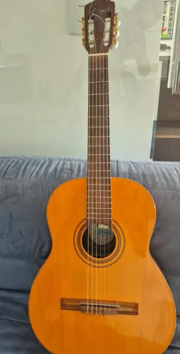 Violão Di Giorgio Classic Guitar Estudante 18 ano 1999 (Usado)