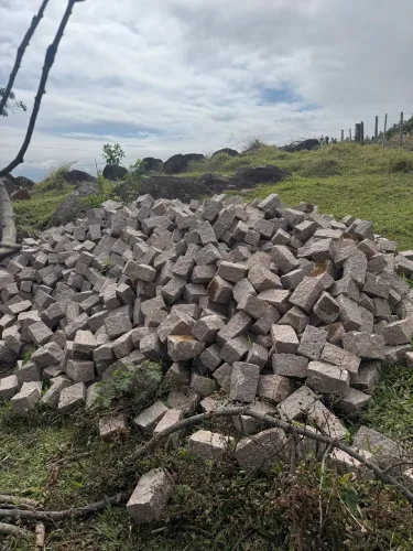 Serviços de pedra 
