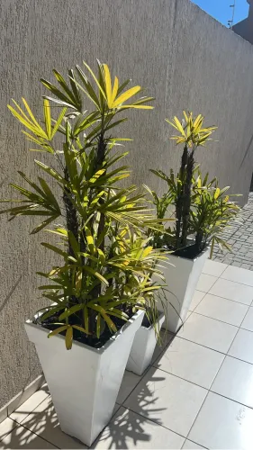Vasos branco com planta cheia.