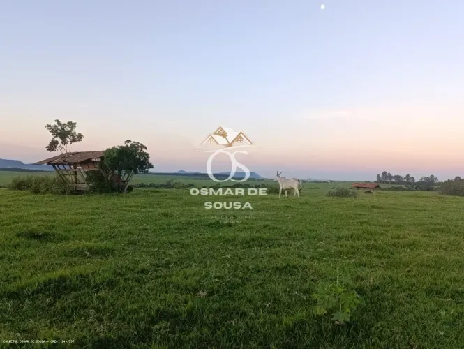 Sítio de 5,5 Alqueires em  Piracicaba - SP