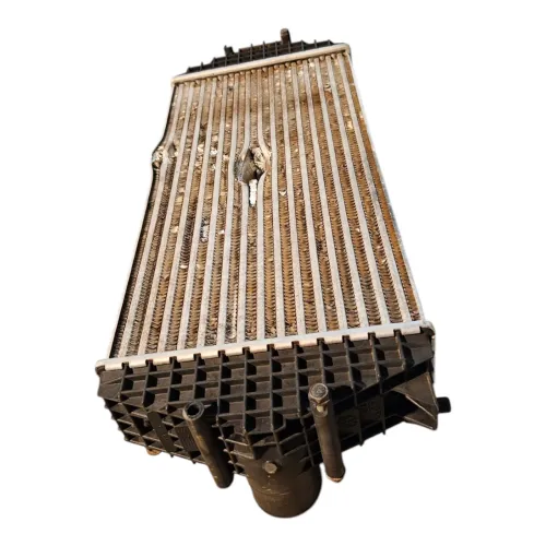 Radiador Ar Intercooler volkswagen Constellation 15180 2009