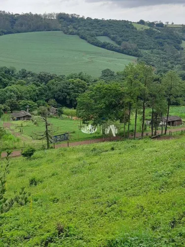 Chácara à venda, 40850 m² por R$ 500.000,00 - Coroados - Londrina/PR