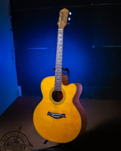 Violão Eletroacústico Tagima Jumbo Maple (Com Detalhe no Afinador)