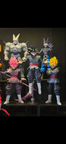 Shf coleção