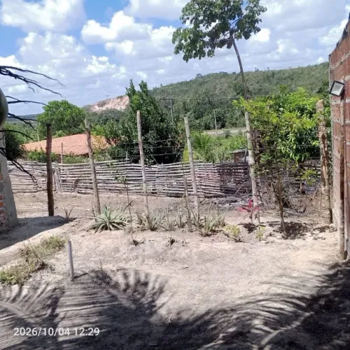 Um sítio com uma casa.. na cidade de Itanagra Bahia