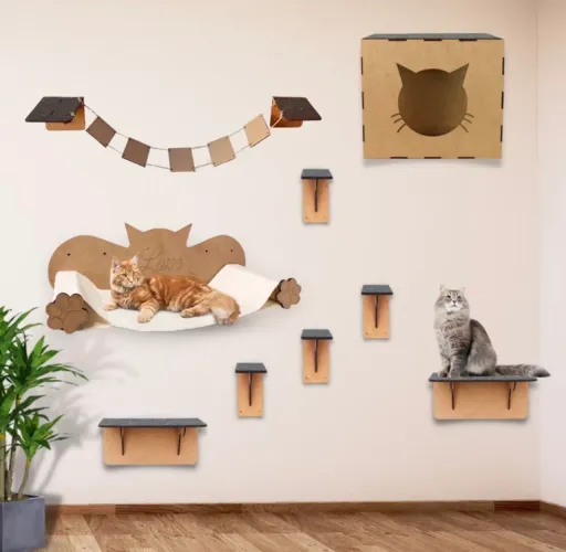Playground de Gato
