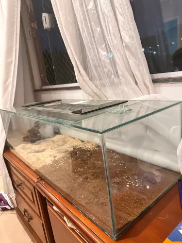 Terrario