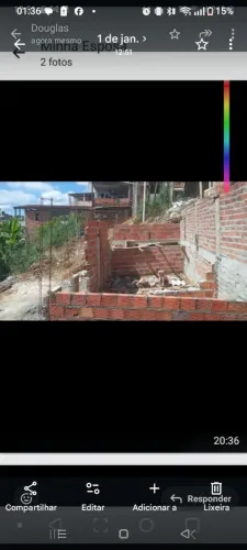 Pau da lima perto mercantil 