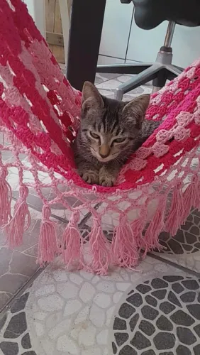 Redes para pets e para bonecas em crochê!