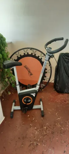 Treino