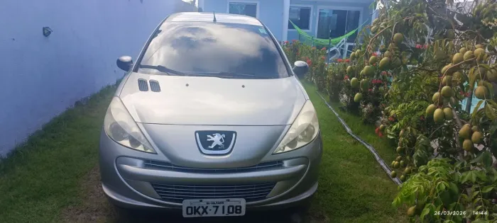 Peugeot 207 XR 1.4 Flex 8V 5P 2013
