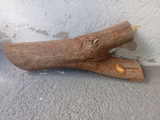 Toco para orquídeas 