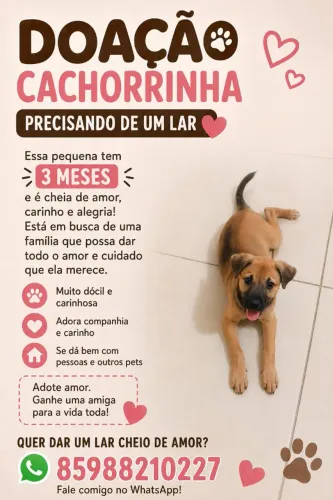 Adoçao