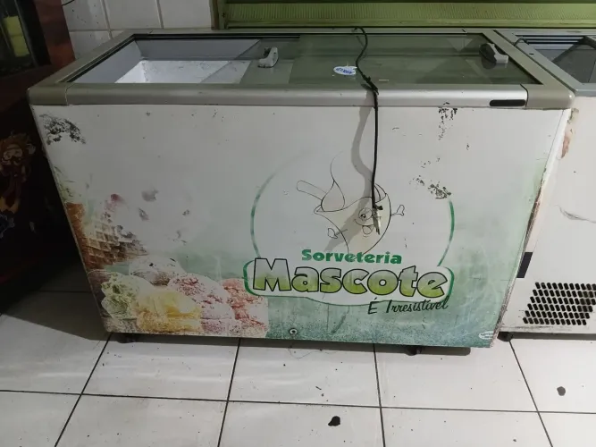 Freezer horizontal