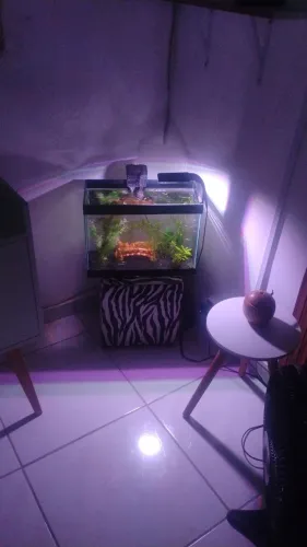 Decoração