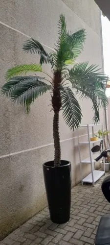 Palmeira Fênix artificial com vaso em fibra de vidro preto, altura total 2,90m