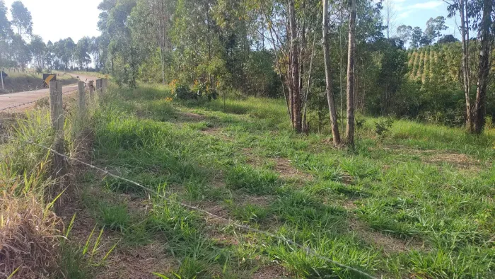 Chácara de 1000 mil metros em Belo vale