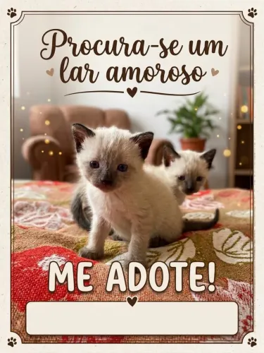 PROCURA-SE UM LAR AMOROSO! ?