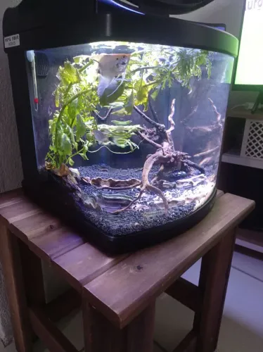 Aquário 25 litros da boyu 