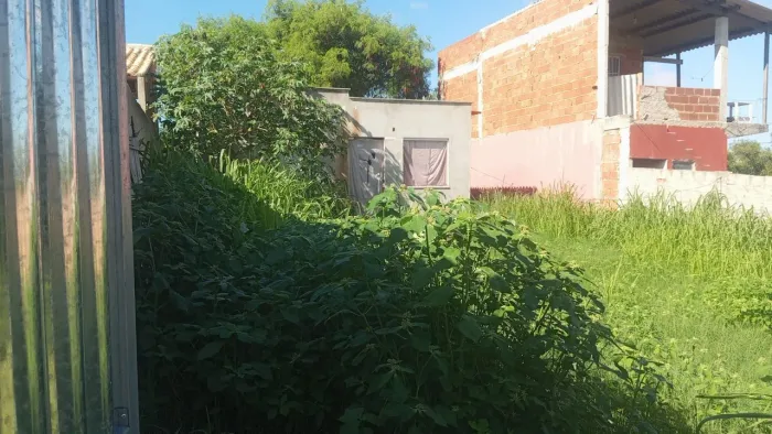 ? Serviços de Jardinagem e Roçagem - Deixe seu terreno limpo e valorizado! ?