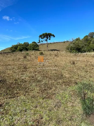 Venda - Chácaras - Vila Seca - Caxias do Sul - RS