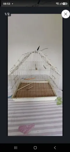 Viveiro Pets disponível 