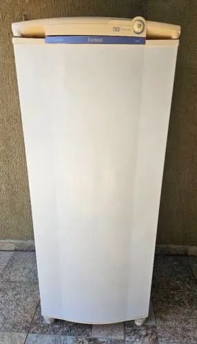 Geladeira 110volts, Entrego também!!