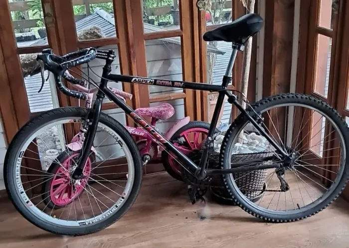 Bicicleta Gravel (Speed+MTB)