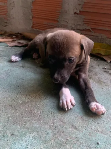Doação 