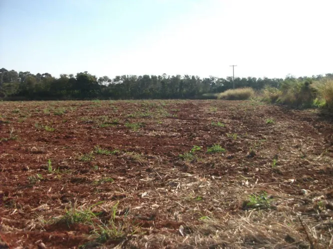Área à venda, 22000 m² por R$ 3.300.000,00 - Campinas - Campinas/SP